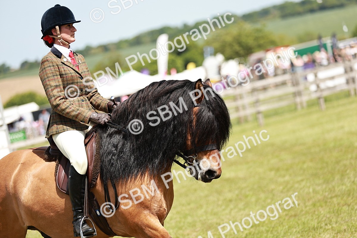 SBM_07102 - Class 26-30 - Mountain and Moorland Ridden