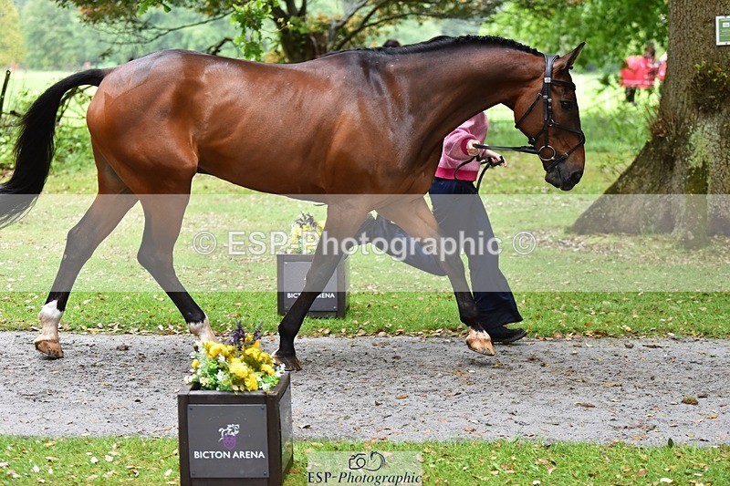 240522-163402-01008 - 261-QUARRY_MAN-Rosie_Ringer