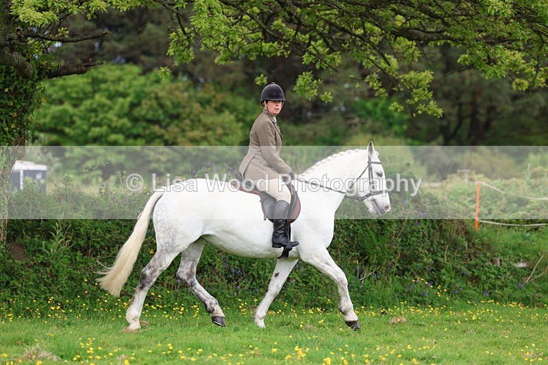 3E7A1119 - Class 7: Ridden Hunter Type
