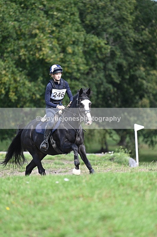 WJ7_0452 - Time 11:36 to 12:00