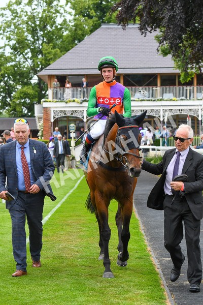 170623-Race 4-Quinault-0653 - Race 4 3.40pm Oakmere Homes Supporting Macmillan Sprint Handicap