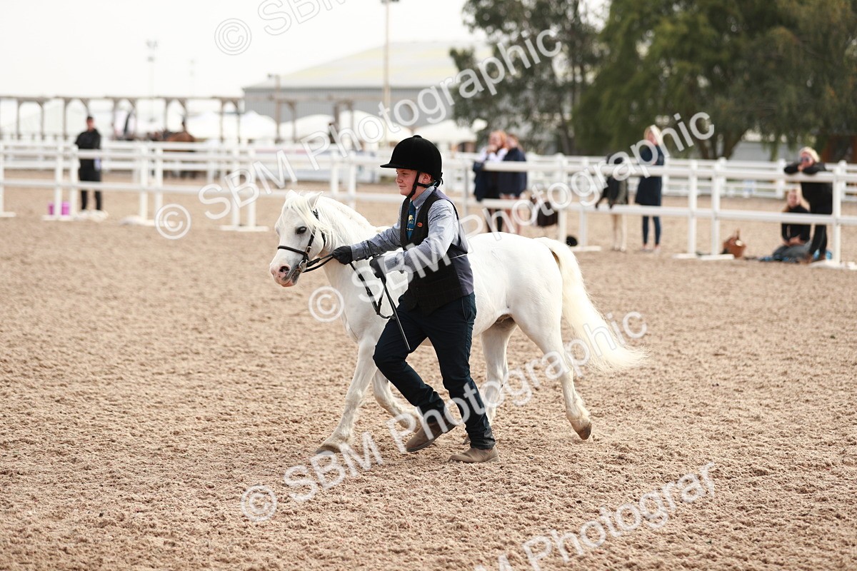 SBM_10556 - Class 204 Young Handler, 11-16 years