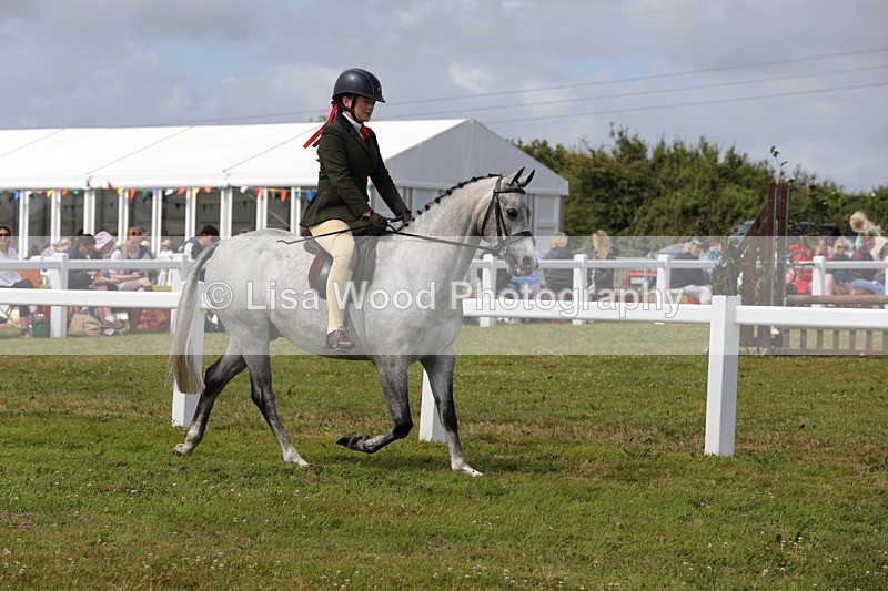 1X9A3967 - Class 32: Show Hunter Pony 153cm and under