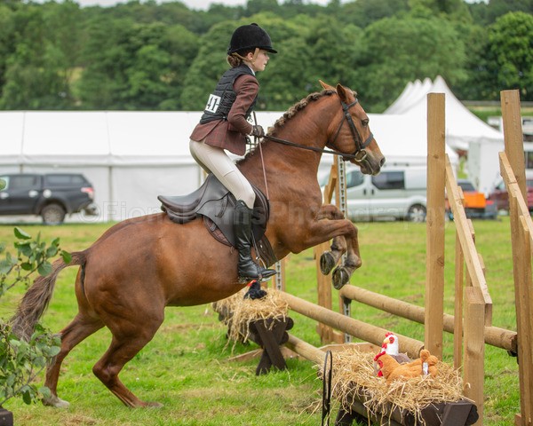 Dunblane show-202 - Dunblane and Doune Show Ring 1