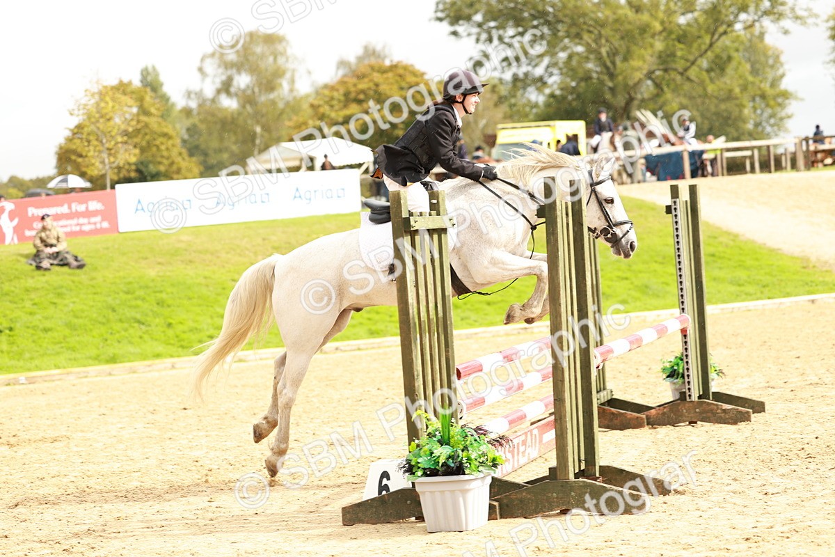 SBM_38387 - Supreme Championship 80cm 85cm