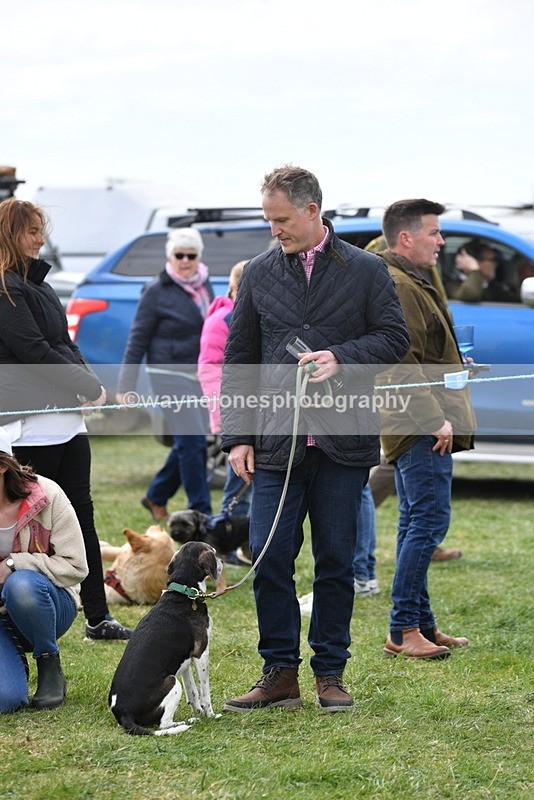 WJ5_0160 - Class 5 Best Veteran / 7 years & over