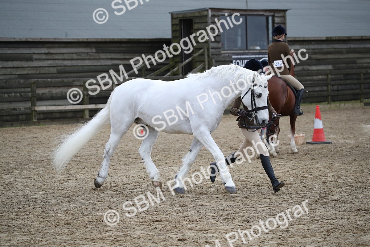 SBM_006407 - Class 10-13 - RIHS Small Large Breeds