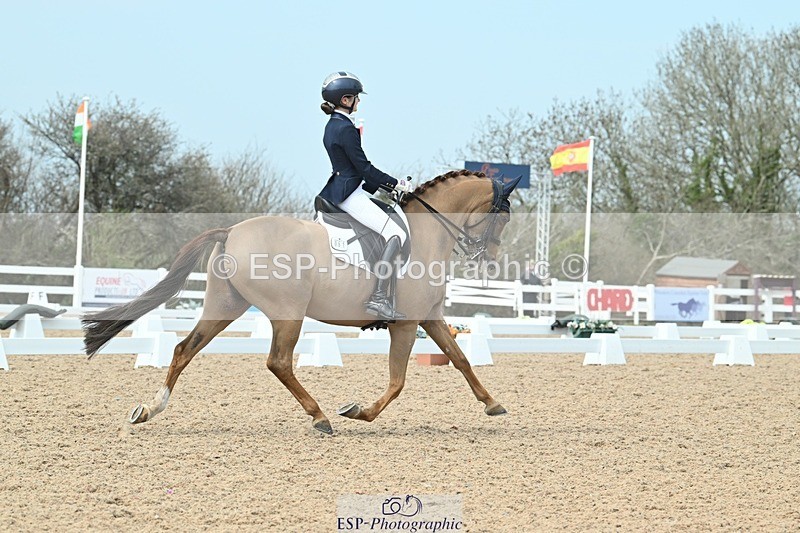 250403-123601-02386 - 061-Violet.Hawkins-DZL.Royal.Sunrise