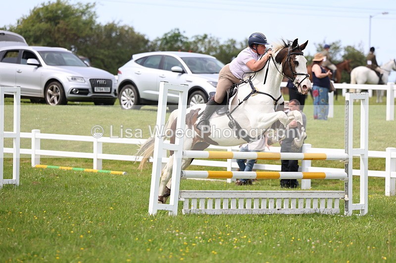 3E7A1848 - Class 13: Senior British Novice/90cm open