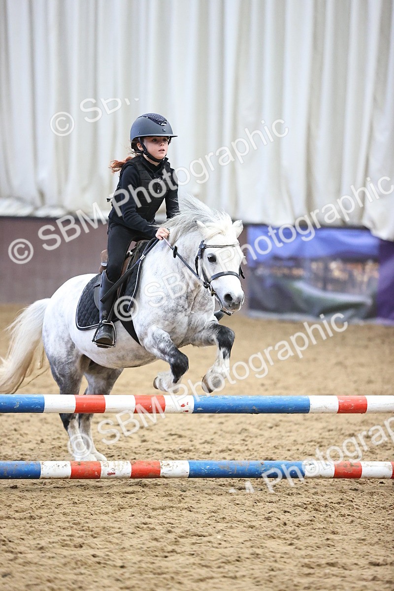 SBM_001382 - Class 3 - Horse & Hound 60cm
