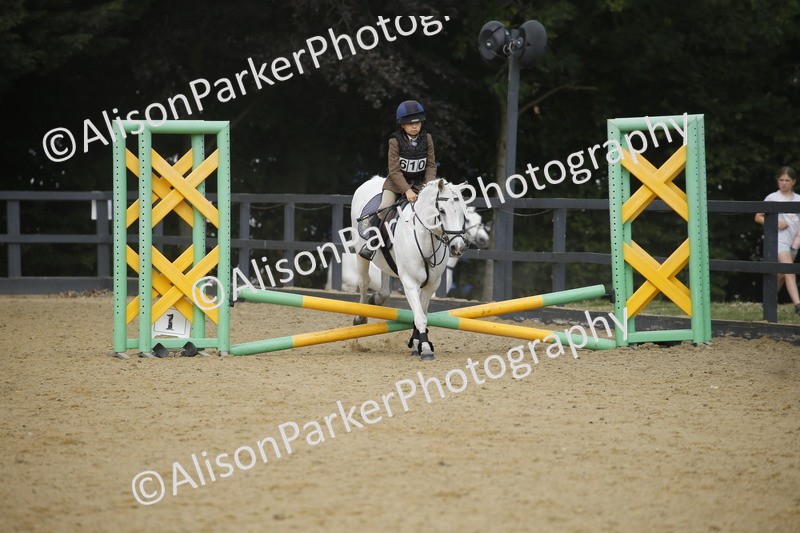 20250622-3680 - 50cm