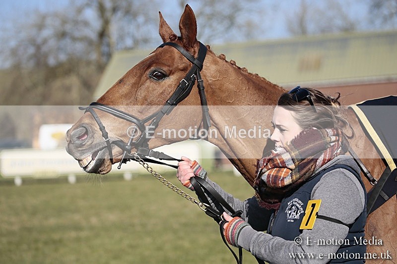 PtP 240218 430 - Vine & Craven Hunt Point-to-Point Barbury racecourse 24/02/18