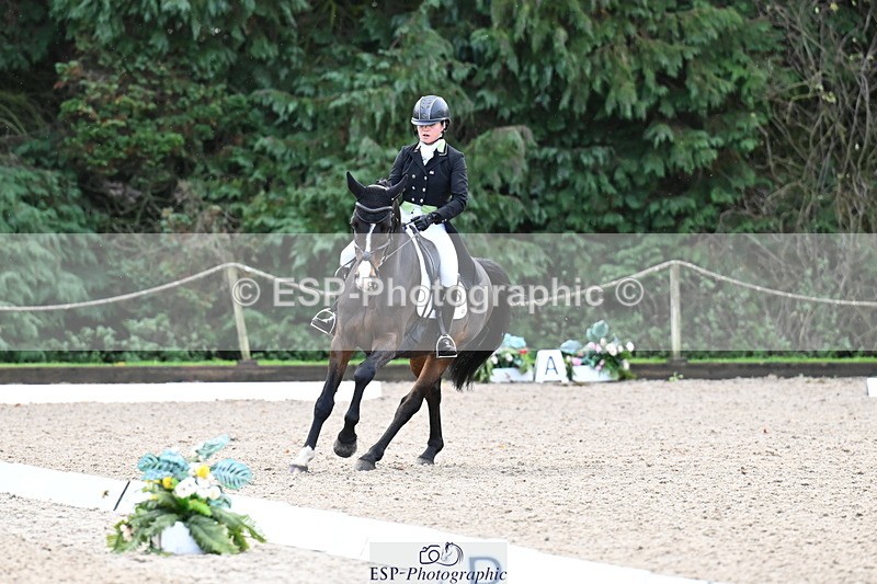 251023A-140405-05449 - B-148-Tarka.Abraham