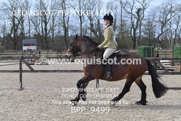 BPP_9499 - RING 2 - M&M