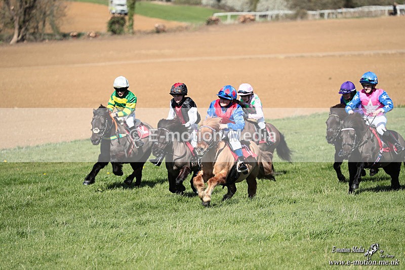Shet 060426 272 - Shetland Pony Racing Paxford Races Easter Mon 06/04/26