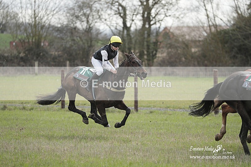 PtP 180323 128 - Shelfield Park Races with Croome & West Warwickshire Hunt  18/03/23