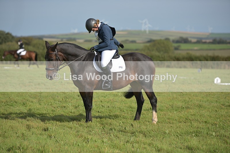 RAY_7825 - Class 2B: Trekenning Open: Dressage