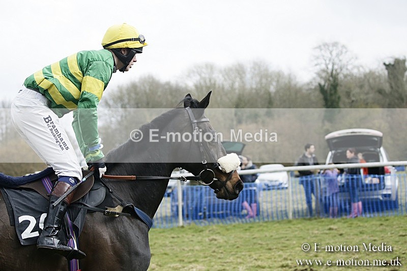PtP 110318 437 - Hampshire Hunt Point-to-Point Hackwood Park 11/03/18