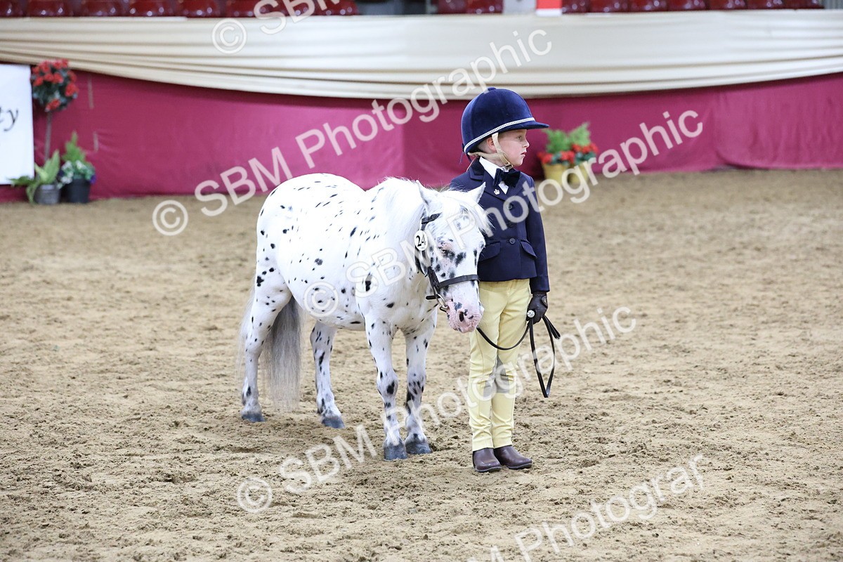 SBM_19984 - Class A - Junior Champ 10yr and Under