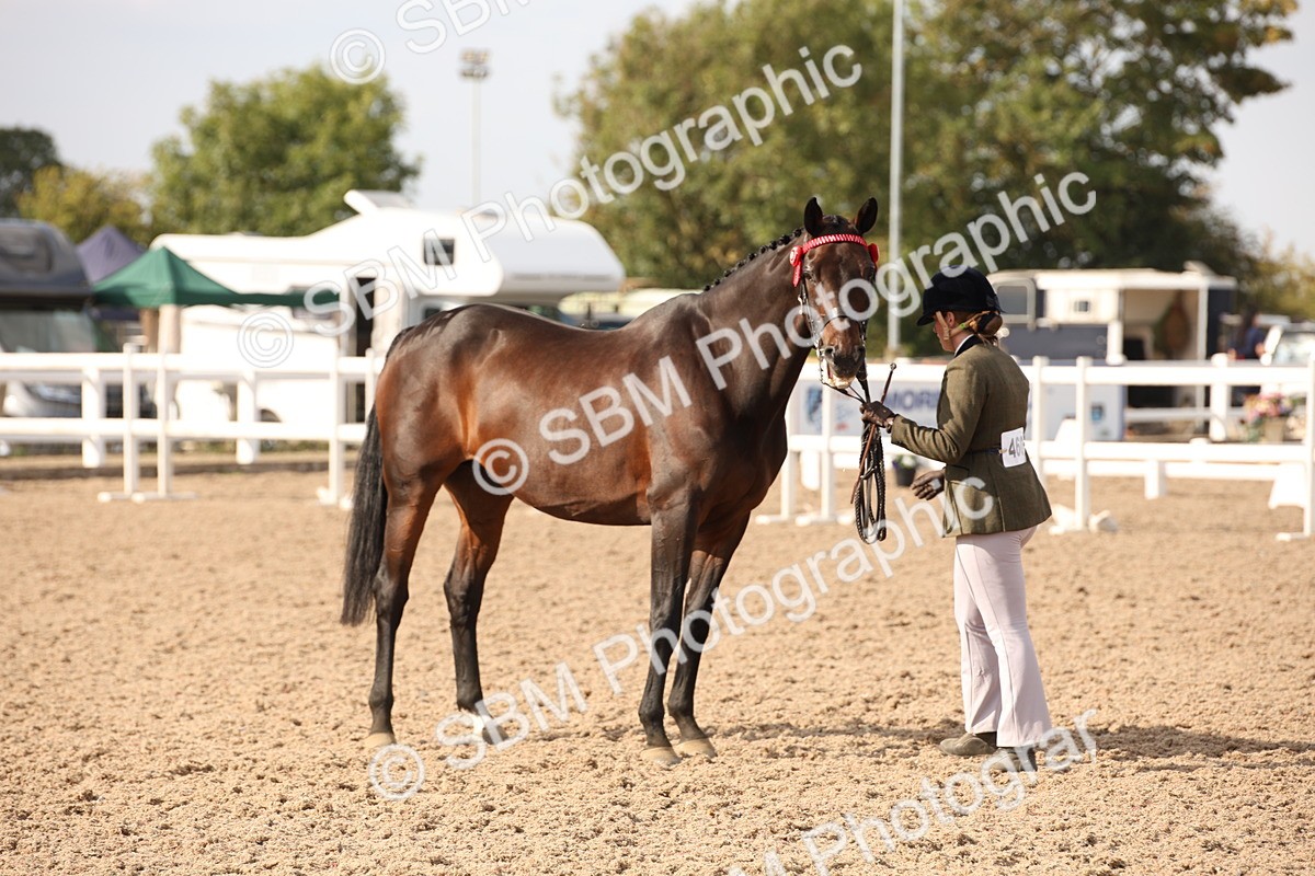 SBM_08203 - Class 27 - IH Competition Horse-Pony