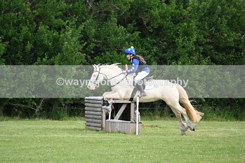 WJ6_2660 - Class 2 40cm