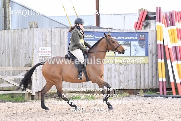 BPP_7051 - RING 1  (RIDDEN HORSES / IN HAND / VETERAN ETC)
