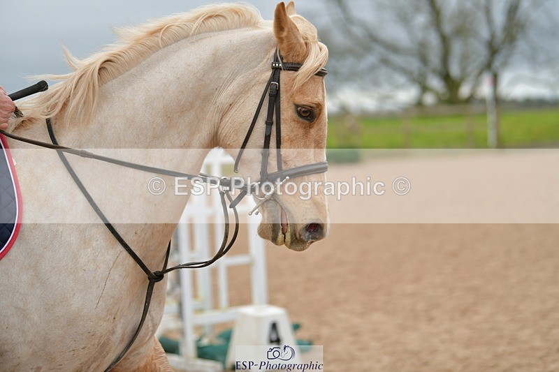 240203A-123444-00298 - 80cm