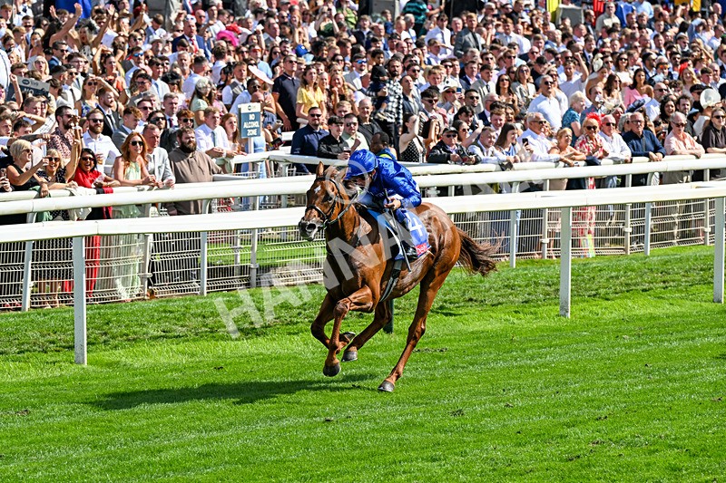 220826-Race 3-Notable Speech-0357 - Race 3 15.00pm Sky Bet City Of York Stakes