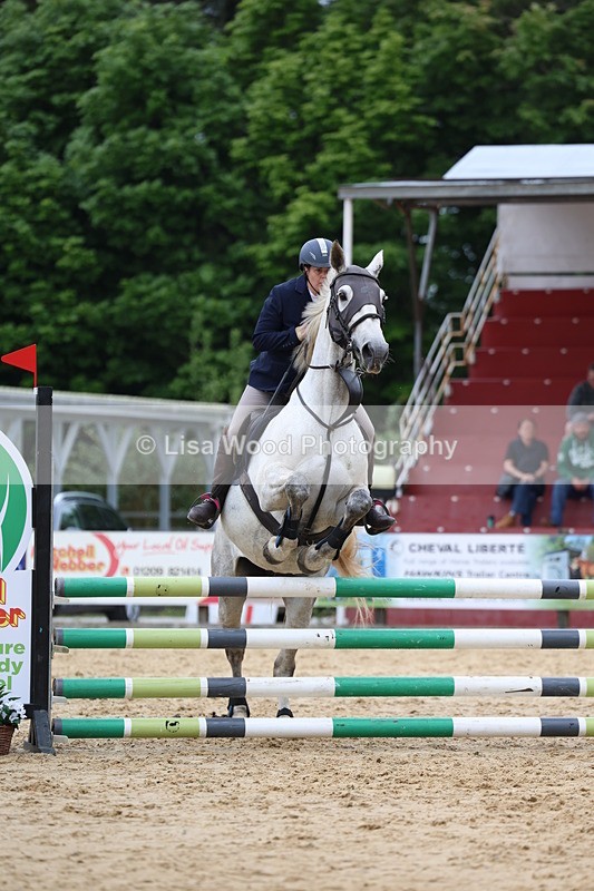 3E7A6064 - Class 4: Senior British Novice/90cm open