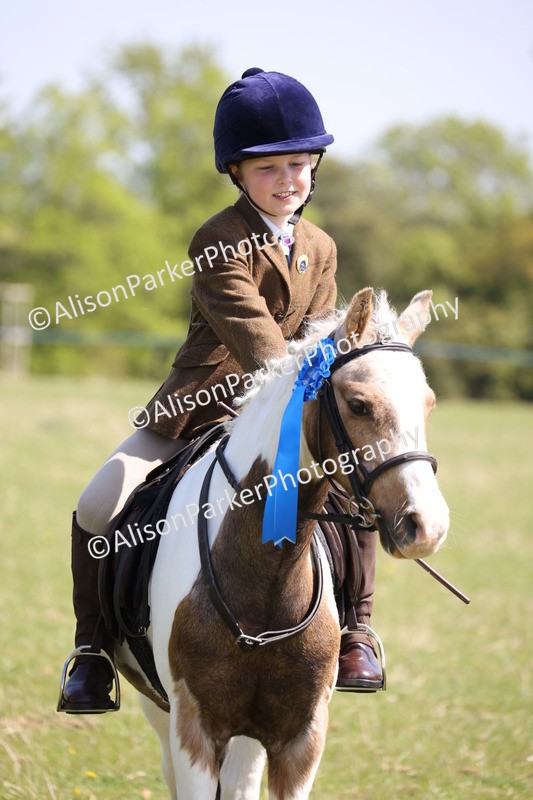20250427-3305 - Class 33 - Best Pony 14.2hh and Under