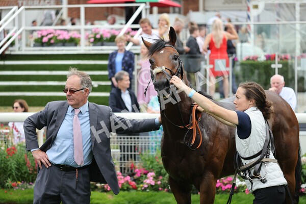 yr04092022r1-54 - Race 1 1.45pm IRE Incentive, It Pays To Buy Irish EBF Novice Stakes