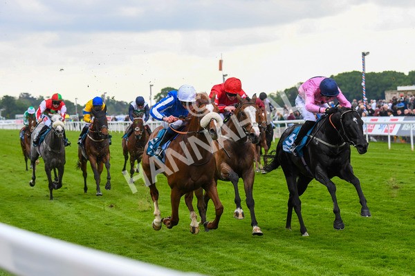190523-Race 3-Marhaba The Champ-0477 - Race 3 3.00pm Knights Solicitors Handicap