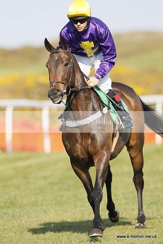 GRD 030510 201 - Guernsey Race Day 03/05/10