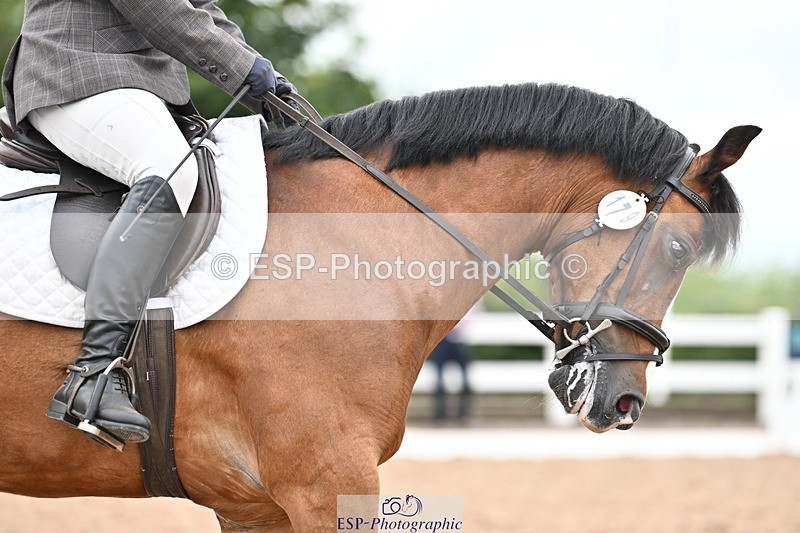 250705-175538-04472 - N2 Section BDNOV2 16.29 to 17.46