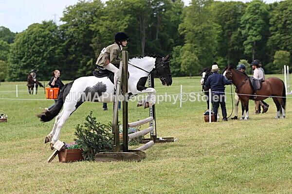 IMG_2908 - Working Hunter