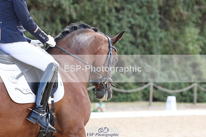 250809A-115344-03272 - 030-Alice.PeternellFourseasons.Sienna