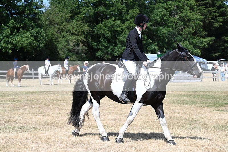 WJ7_3423 - Class 8 Ridden Veterans