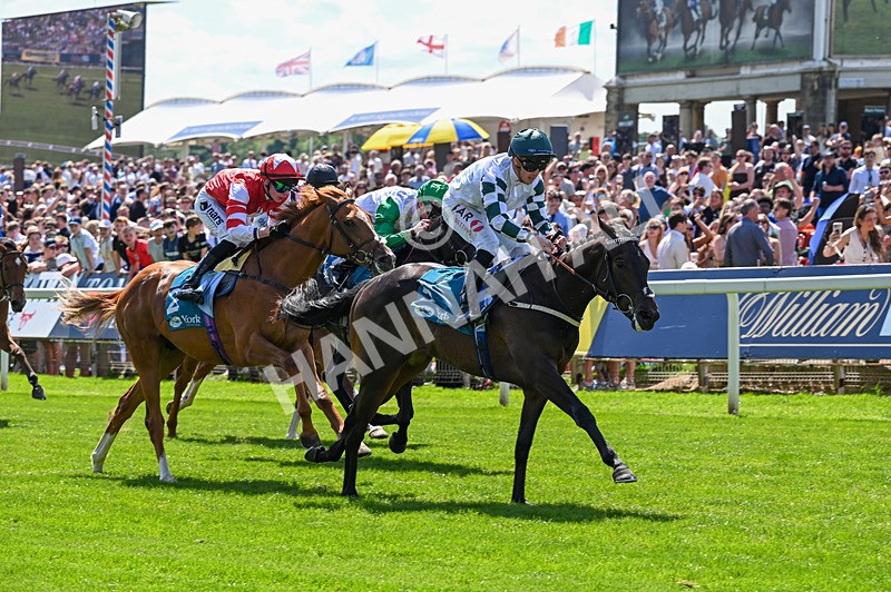 230526-Race 2-Possessive-6190 - Race 2 14.05pm Tomahawk EBF Restricted Novice Stakes