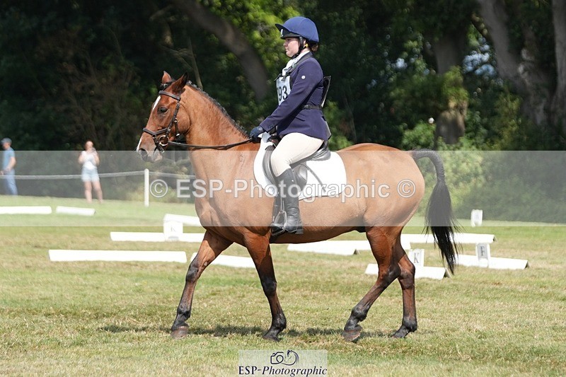 250823A-135519-31091 - Arena B