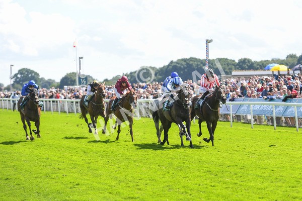 150723-Race 3-Pride of America-0306 - Race 3 3.10pm John Smith's Cup Handicap