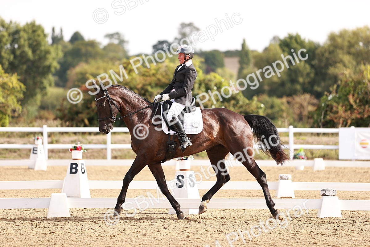 SBM_016986 - Class 10 - Medium 6