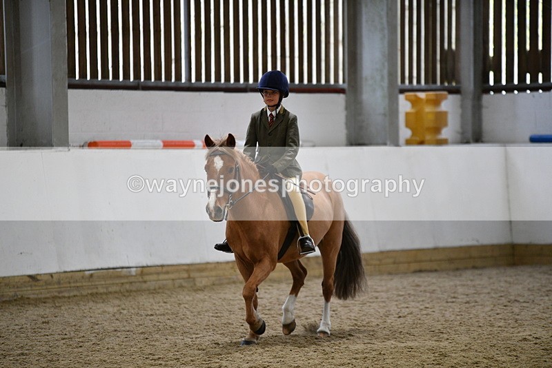 WJ5_7272 - Class 11 Ridden PC - RC Pony