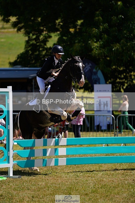 240629X-122334-4801 - 206-rebecca_jones-MR_BOXER