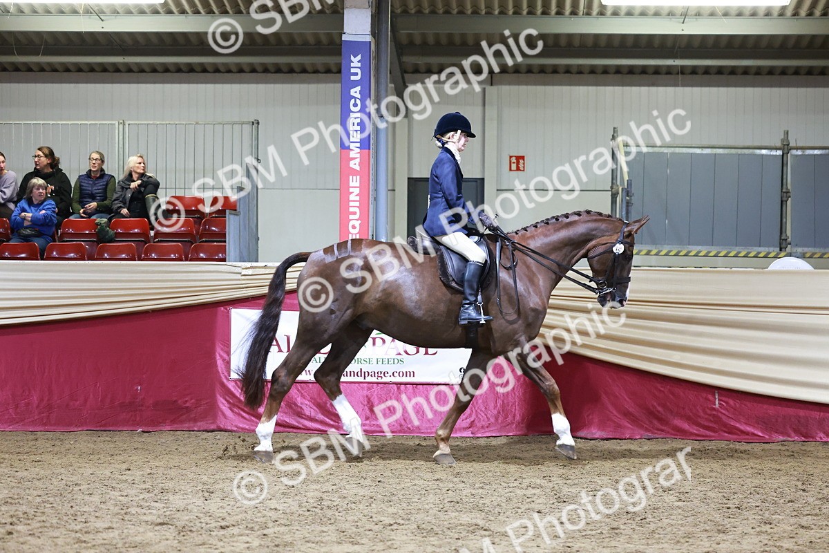 SBM_20693 - Class J - Foreign Breeds Champ