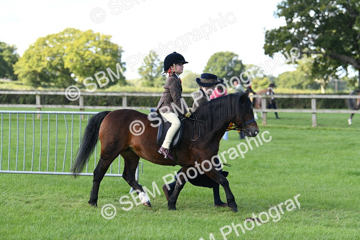 SBM_39712 - S18 - Novice & Newcomers Lead Rein Pony