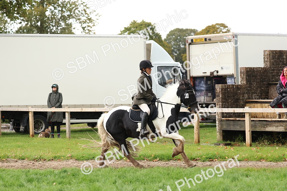 SBM_45000 - S27 - Young Veteran Ridden