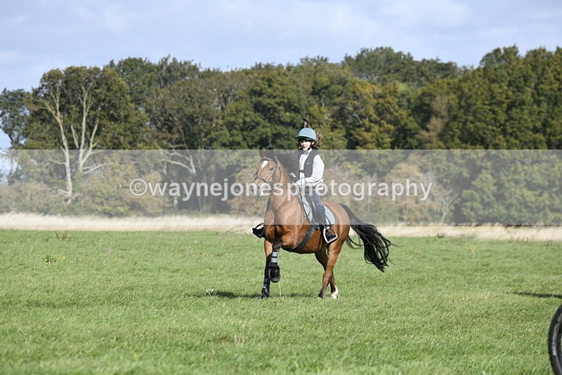 _DSC6593 - Time 11:23 to 12:05