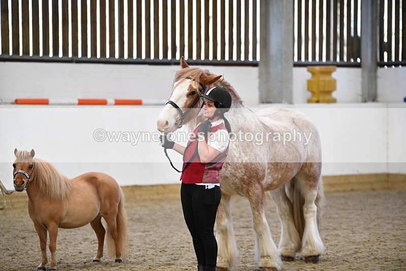 WJ5_5092 - Class 7 In hand coloured / odd coloured