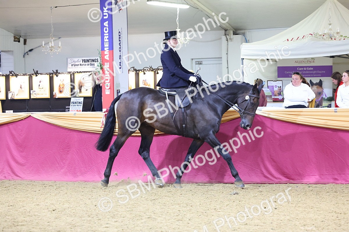 SBM_19292 - Class K Equitation Champ