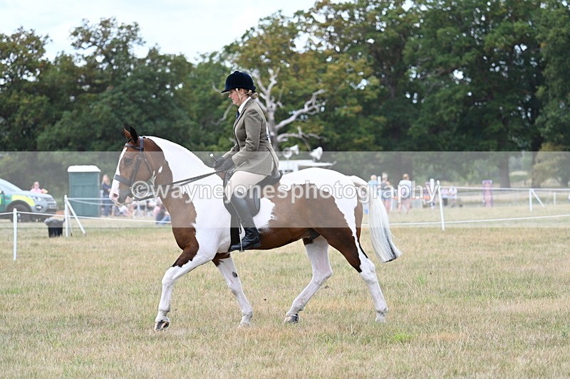 WJ7_4979 - Class 12 Ridden Cob